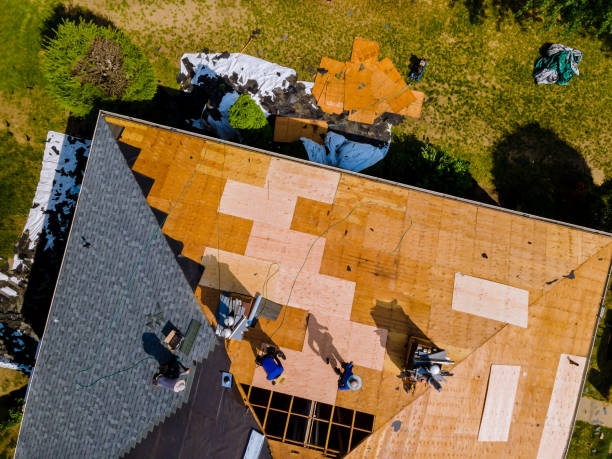 Best Shingle Roofing Installation  in Danvers, IL