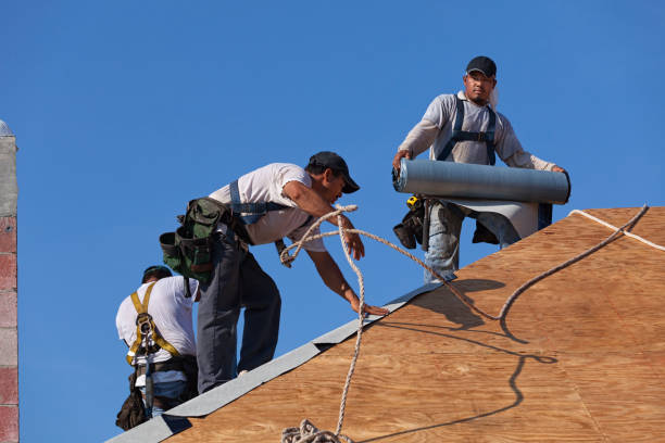 Best Roof Waterproofing Services  in Danvers, IL