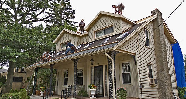Best New Roof Installation  in Danvers, IL