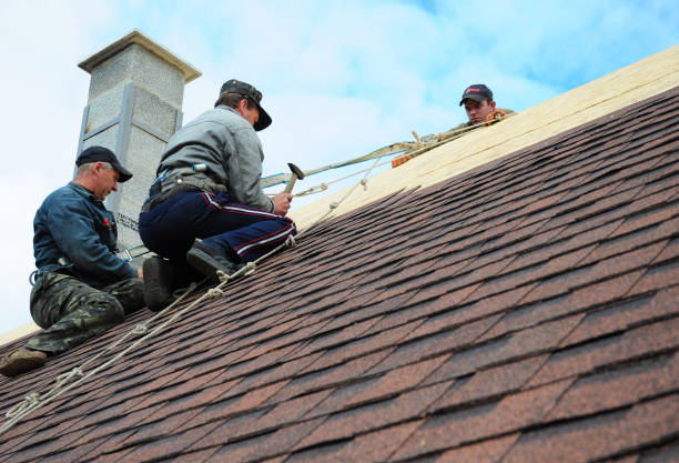 Roof Waterproofing Services in Danvers, IL