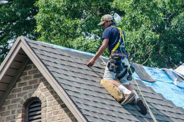 Best Best Roofing Contractors  in Danvers, IL